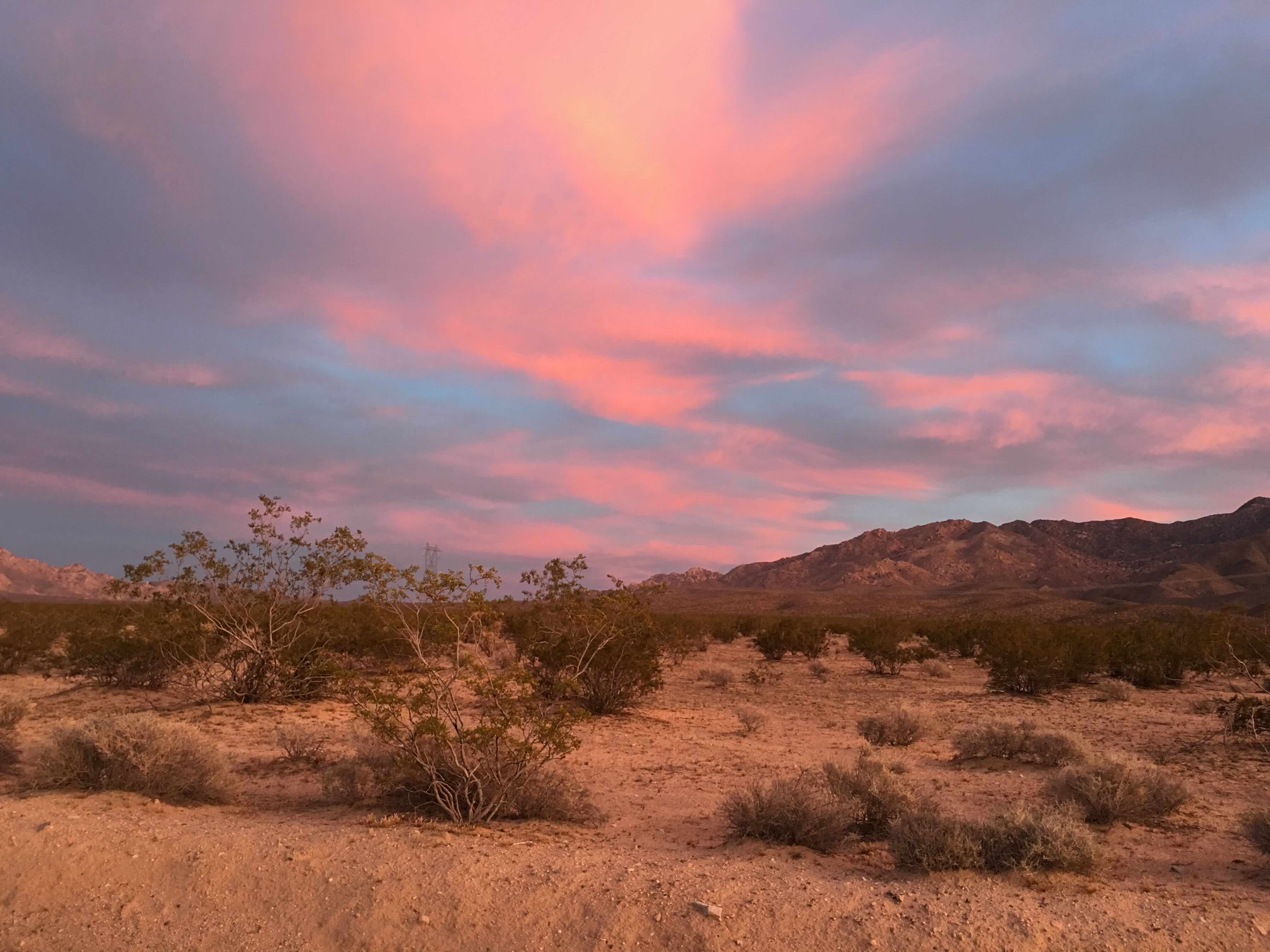 Pink clouds at sunset in the desert